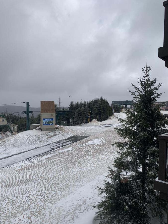 Highland House 207 Slopeside, Village Area, Ski In Out Snowshoe Extérieur photo